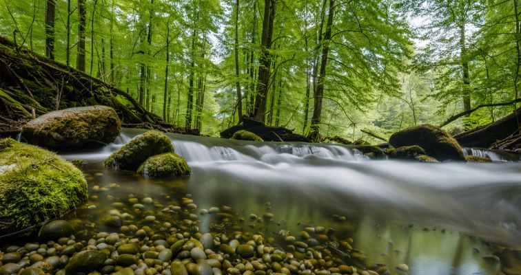 Fettsäuren und fettlösliche Moleküle